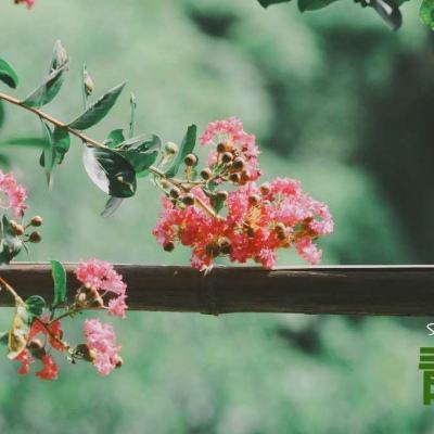 56677彩票app下载