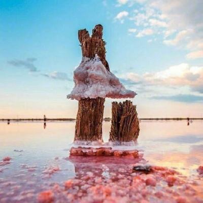 大发国际app下载