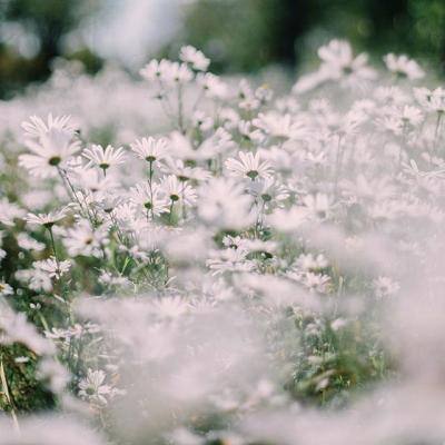 北京k10赛车下载APP