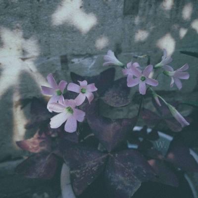 江南APP官方网站登录