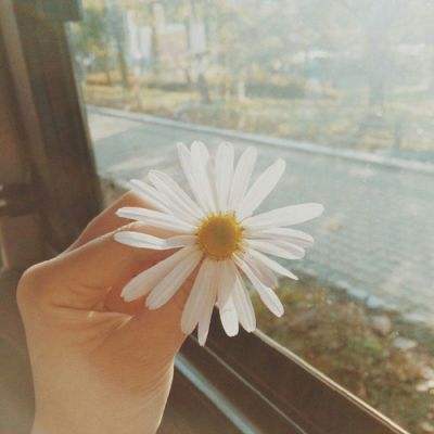 开云网kaiyunapp下载