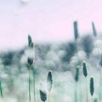 爱游戏·APP下载手机版